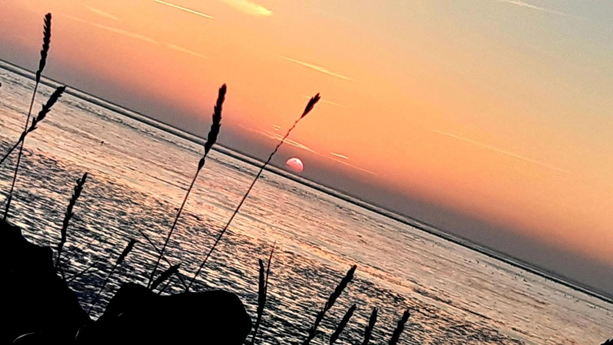 Ferienwohnungen-Im-Koog Wesselburenerkoog Bagian luar foto