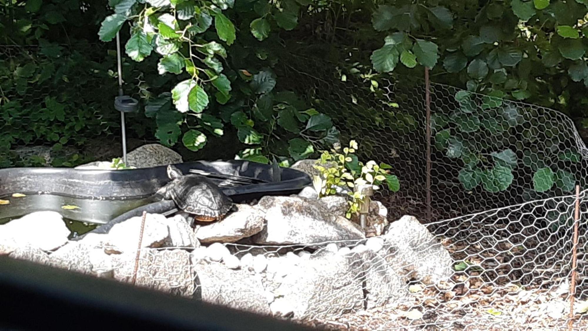 Ferienwohnungen-Im-Koog Wesselburenerkoog Bagian luar foto